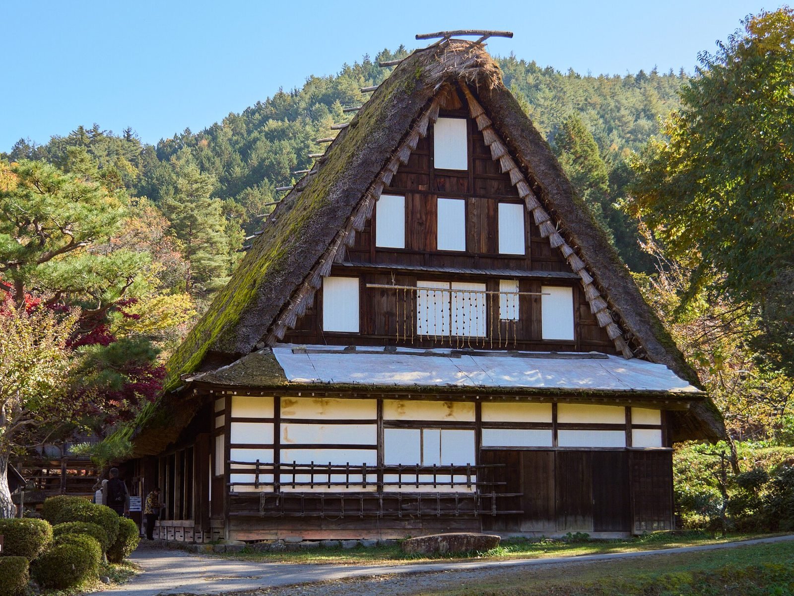 Casa gasshō-zukuri con arces de otoño